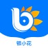 银小花