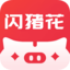 闪猪花