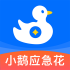 小鹅应急花