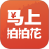 马上拍拍花