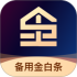 备用金白条