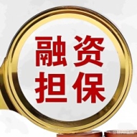 融资担保行业交流群