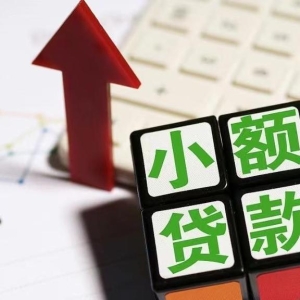小额贷款公司监督管理暂行办法