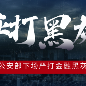公安部开始下场“严打”贷款、保险、信用卡等黑灰产业，大家一定一定一定要读懂这个信 ...