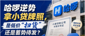 您贷款周刊：哈啰逆势拿小贷牌照，是低价“扫货”，还是蓄势待发？ ...