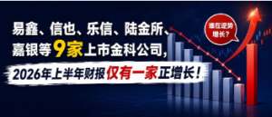 您贷款周刊：易鑫、信也、乐信、陆金所、嘉银等9家上市金科公司，2026年上半年财报仅  ...