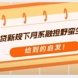 您贷款周刊：助贷新规下“月系融担”的野蛮生长给到我们的启发 ... ... ...