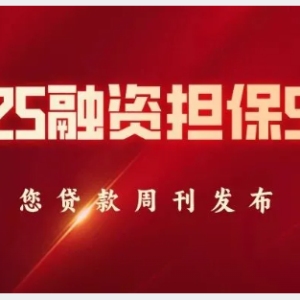 您贷款周刊：2025年融资担保50强