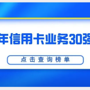 您贷款周刊：2025年信用卡业务30强银行
