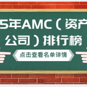 您贷款周刊：2025年AMC（资产管理公司）排行榜