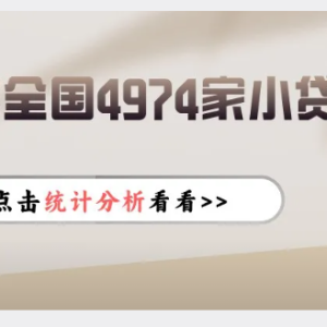您贷款周刊：2025年全国4974家小额贷款公司统计分析